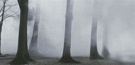 fog gif